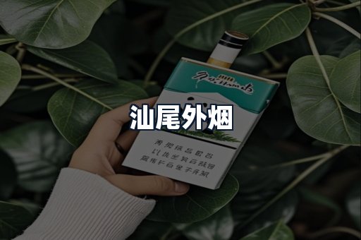 汕尾外烟